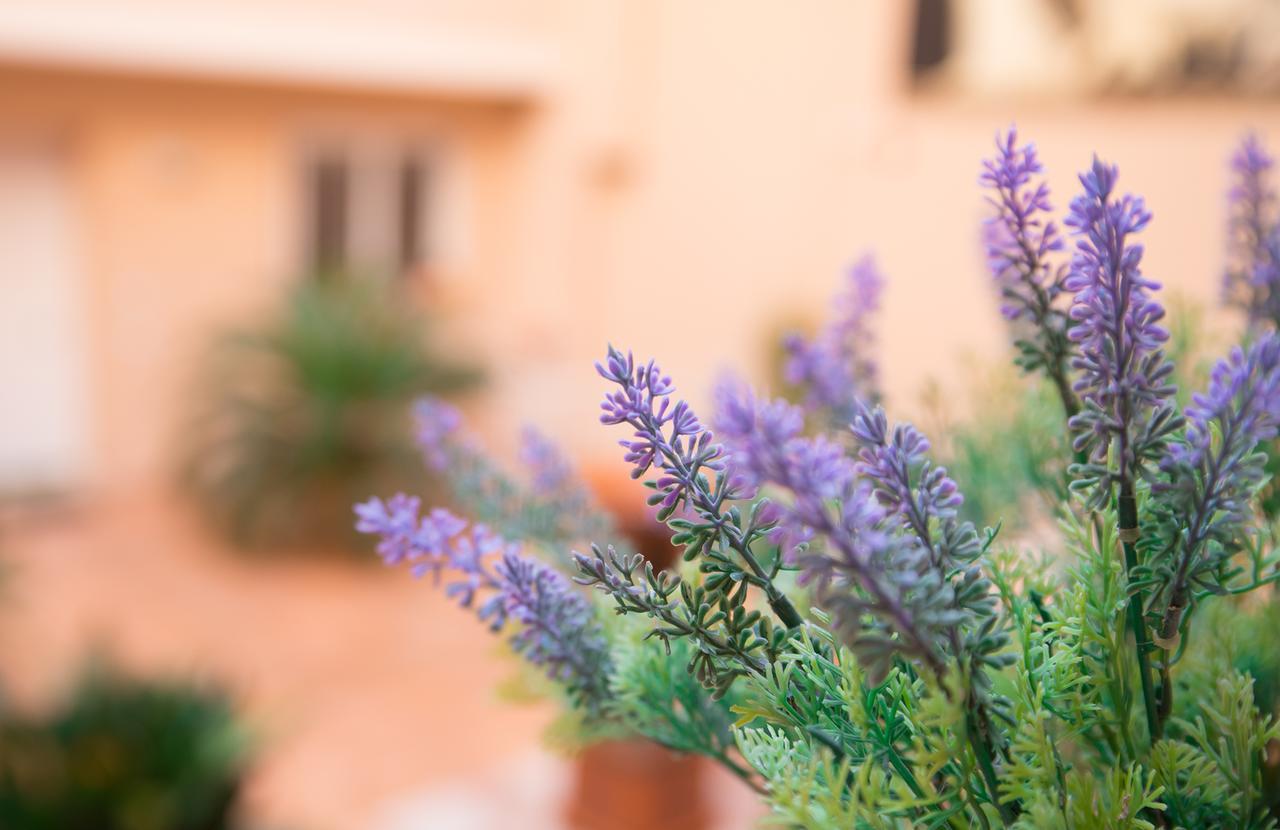 Il Cortile Delle Esperidi Apartment Лече Екстериор снимка